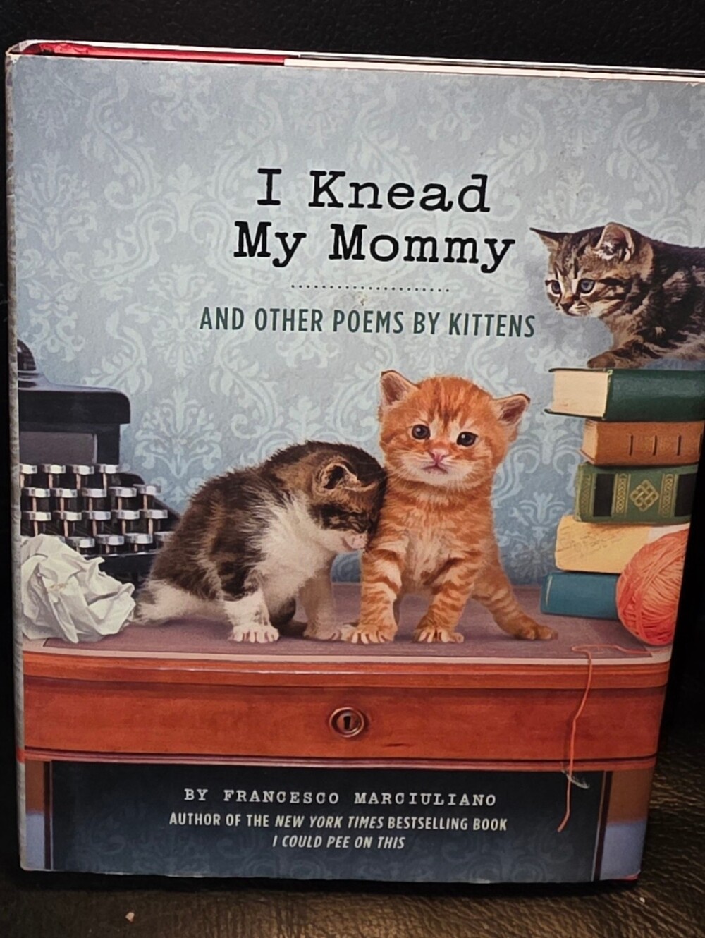 I Knead My Mommy  And Other Poems By Kitrens Book - New